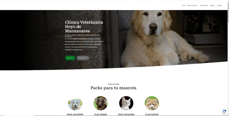 cvhoyodemanzanares - diseño de pagina web de Clínica Veterinaria