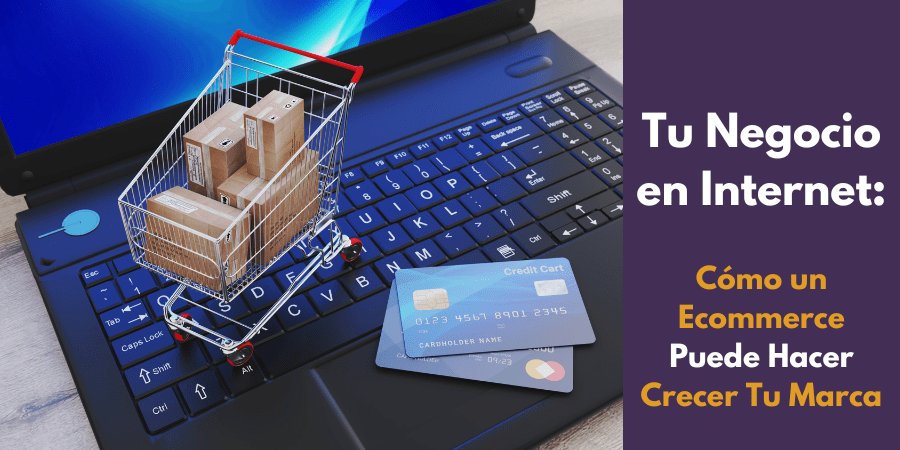 Crear un Ecommerce Exitoso