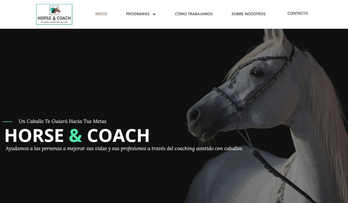 Horse&Coach (1)
