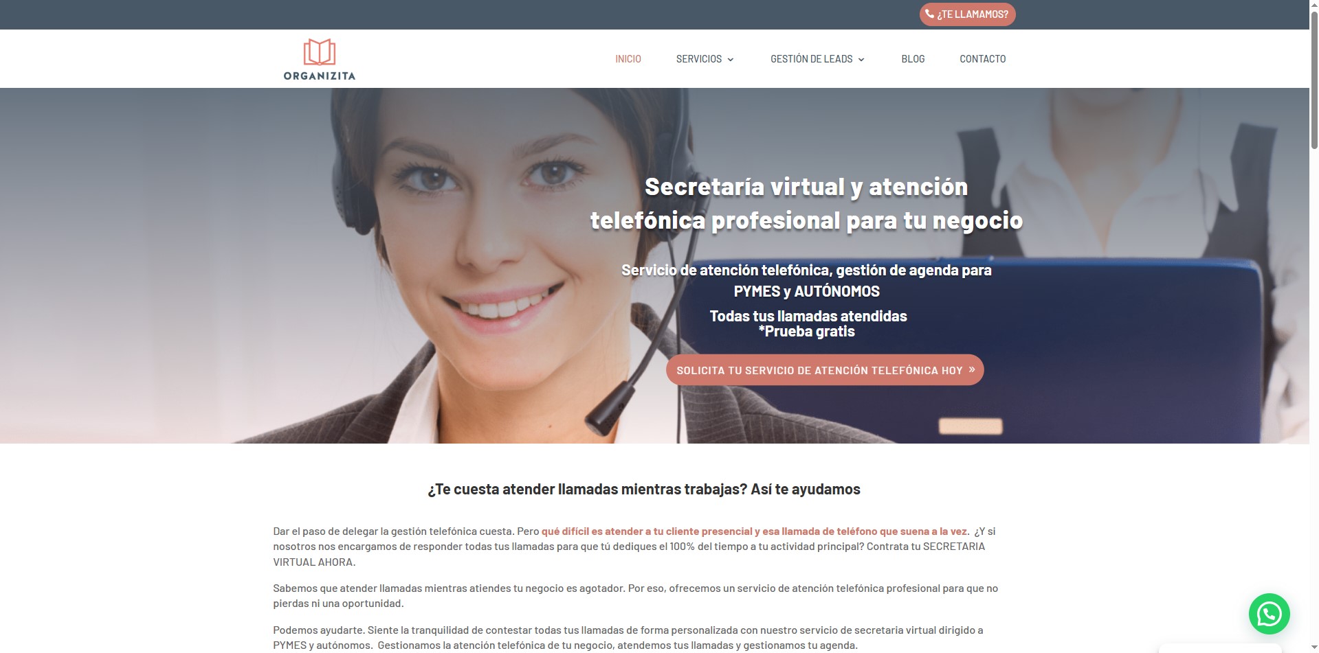 Organizita