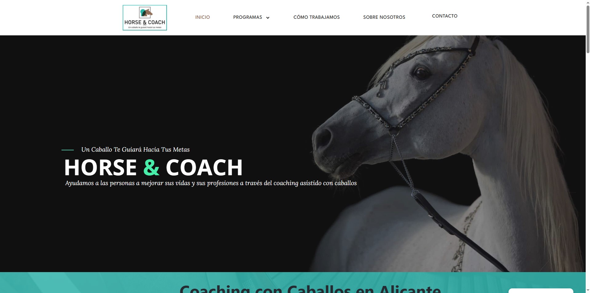 Horse & coach